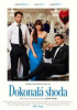 Dokonalá shoda