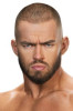 Austin White