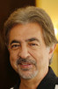 Joe Mantegna