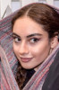 ترلان پروانه