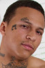 David Mulatto
