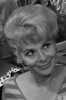Jean Carson