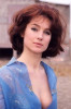 Shirley Anne Field